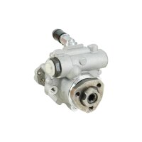 SPIDAN Servopumpe Hydraulikpumpe Lenkung  53845