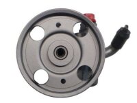 SPIDAN Servopumpe Hydraulikpumpe Lenkung 53753