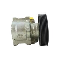 SPIDAN Servopumpe Hydraulikpumpe Lenkung 53753