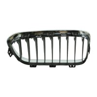 Original BMW Ziergitter Niere links für BMW 1er F20  51137371685