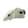 MAGNETI MARELLI Headlight, right