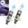 2x BOSCH H1 55W 12V Plus 120 Xenon-Look +120% Licht Auto Halogenlampe Glühlampe