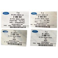 Original Ford Abdeckung Dachreling 2480941 Silber links rechts