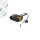 Original Ford Sensor Innenraum Temperatur  1772850 Kontrollsensor