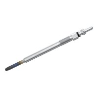 Bosch Glühkerze Kerze Glühanlage 0250204002