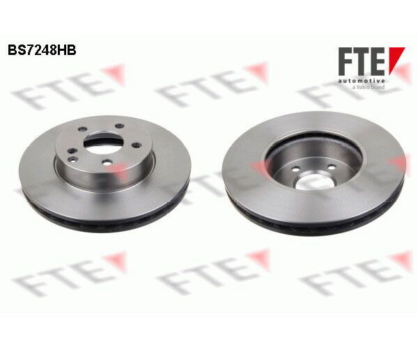 2x FTE front axle brake rotors, 295 mm, BS7248HB