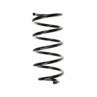 Fahrwerksfeder Feder SPIDAN 49617