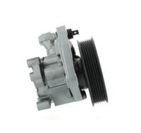 SPIDAN Hydraulikpumpe Servopumpe für Mercedes C-Klasse W204 S204 E-Klasse C207