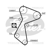 Zahnriemensatz für Mitsubishi Carisma Volvo S40 V40 GATES K025485XS