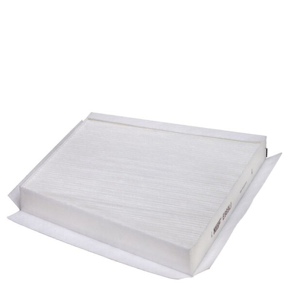 HENGST Filter Innenraumluft E989LI