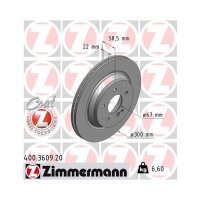 2x ZIMMERMANN COAT Z Brake Disc, Rear Axle, Ø 300...