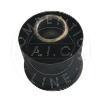 AIC Lagerung Achskörper 55019