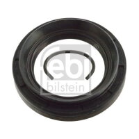 Wellendichtring, Differential
