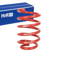 H&R Fahrwerksfeder Tieferlegungsfeder 1x Hinterachse...