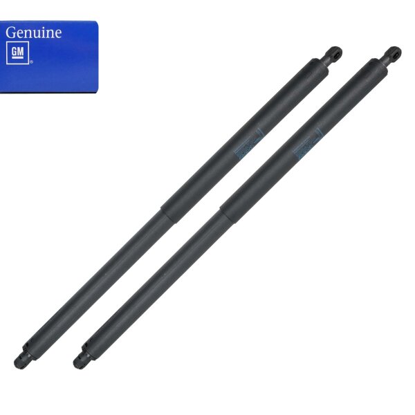 2x Original GM Gasdruckfeder Heckklappe 13247949 Dämpfer