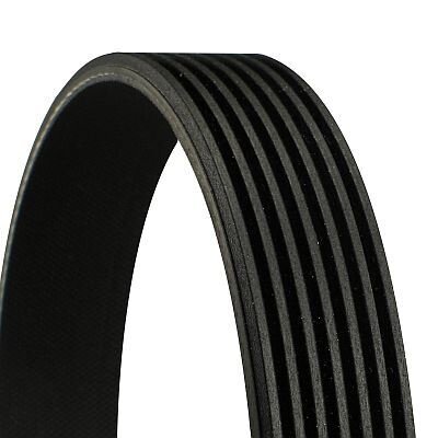 Continental V-ribbed belt 7PK1730
