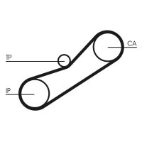 CONTINENTAL Zahnriemen CT1042