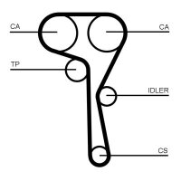 CONTINENTAL Zahnriemen CT1167