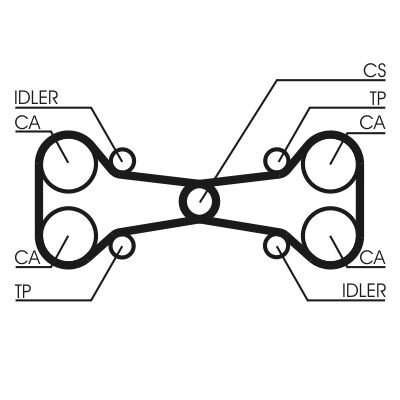 CONTINENTAL Zahnriemen CT782