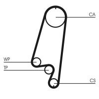 CONTINENTAL Zahnriemen CT866