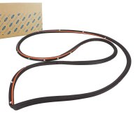 Original Ford Türdichtung 1534566 Dichtung Tür