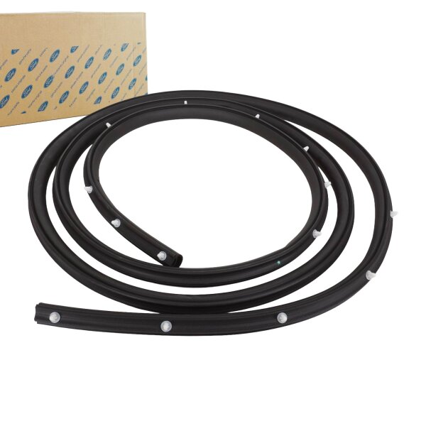Original Ford Türdichtung 1670461 Dichtung Tür für Fiesta MK5