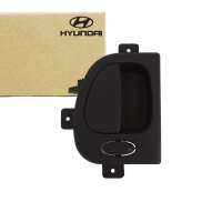 Original Hyundai H1 Türgriff innen 836204A000LK...