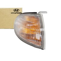 Original Hyundai Elantra Blinker Blinkleuchte 92302-28510