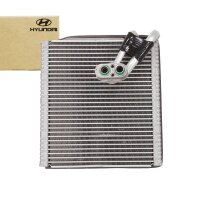 Original Hyundai IONIQ Wärmetauscher 97139G2001...