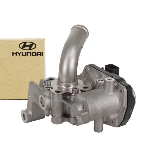 Orignal Hyundai AGR Ventil 2845007100 Ventil Abgasrückführung