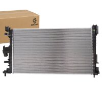 Original Renault Dacia Kühler 214105803R...