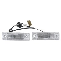 Kennzeichen Beleuchtung 96627068 Original Opel Antara...
