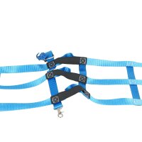 WISTRA Ladungssicherungsnetz Safeguard Alkovennetz Sprinter 2743101