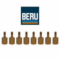 Steckhülse Zündkontakt M3 BERU RHB003...