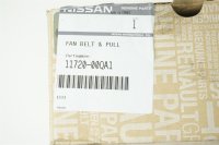 Nissan Kubistar X76 Spannrolle und Flachriemen 1172000QA1 6PK1199 8200821813 Neu